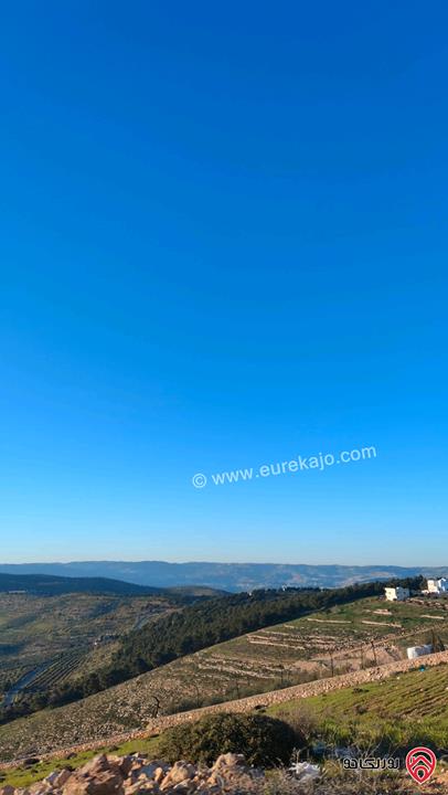 أرض مساحة 5 دونم و 500م للبيع في الزرقاء - الكمشة من المالك مباشرة قمة جبل و إطلالة غربية بانورامية