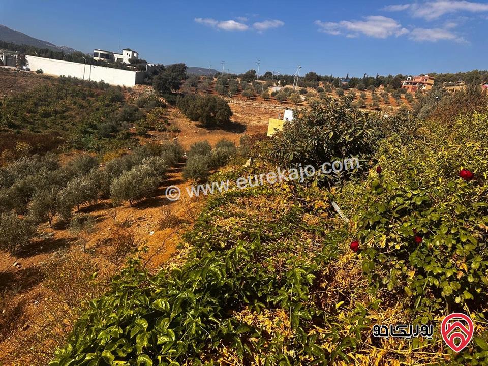 مزرعة فيها فيلا عدد 2 مساحة كل فيلا 300م على أرض 14 دونم للبيع في جرش