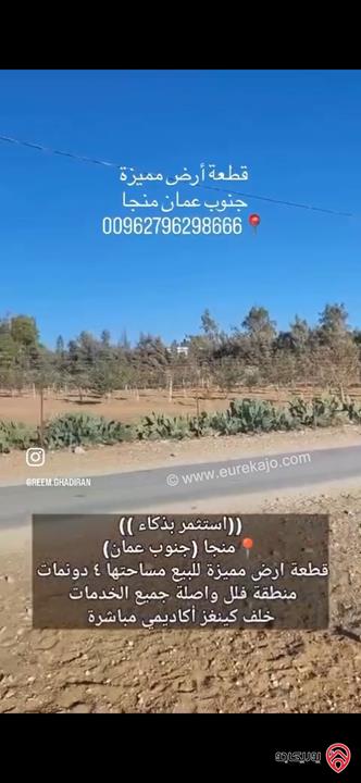 قطعة ارض مساحة 4 دونم للبيع من أراضي جنوب عمان - منجا