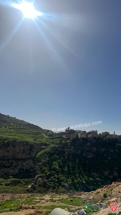 ارض تجارية مساحة 1500م للبيع في عمان - عراق الامير