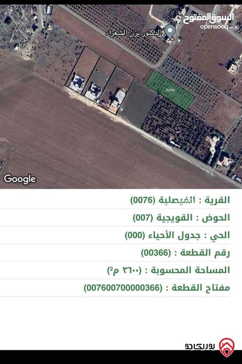 قطعة أرض مساحة 3 دونم و 600م للبيع في مادبا - الفيصلية مزروعة زيتون عمره 22 سنة 