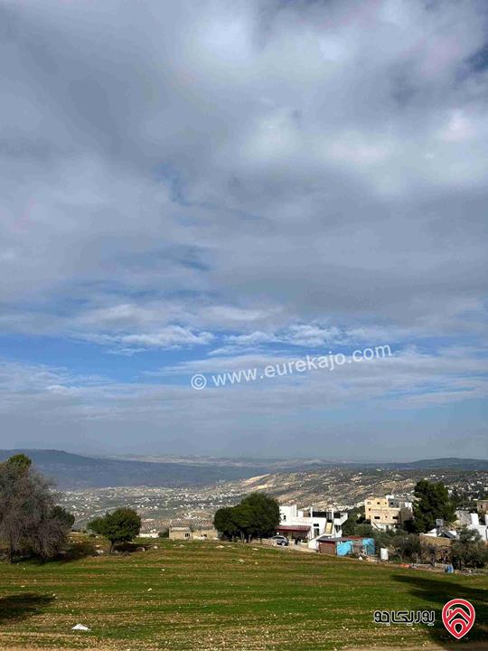 قطعة أرض مساحة 1 دونم و 890م للبيع في السلط - الغروس