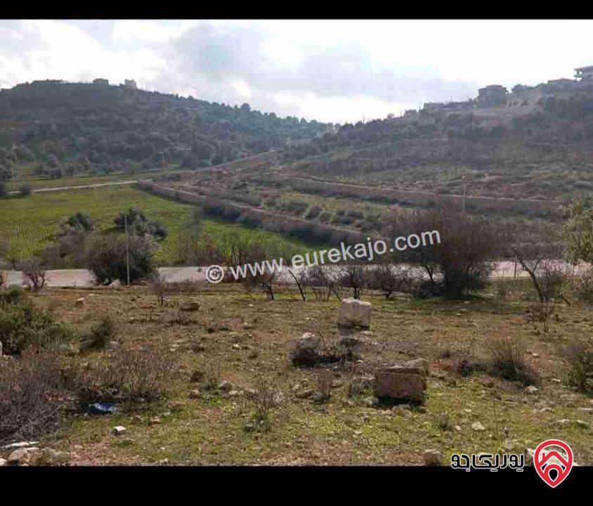 قطعة أرض مساحة 9 دونم للبيع في عجلون 