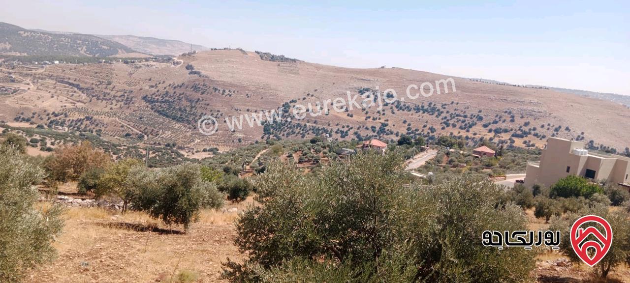 قطع أراضي زراعية مساحة 3 دونم / 4 دونم للبيع في السلط الزعتري سعر الدونم 37 الف