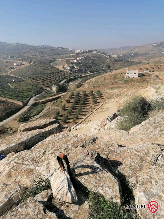 ارض مساحة 1 دونم و 263م اطلالة بانوراما للبيع في الزرقاء - بيرين