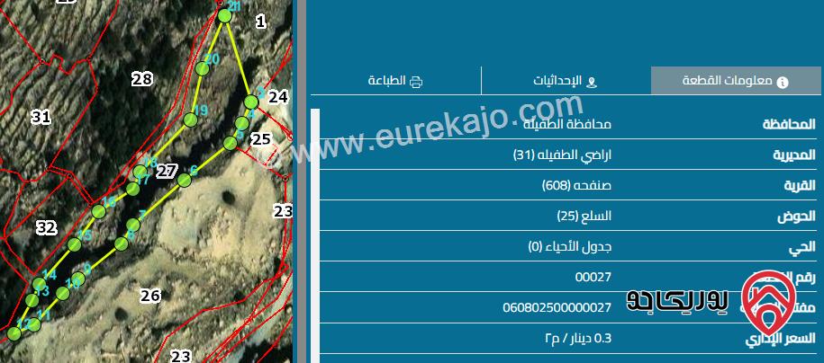 قطعة أرض مساحة 2001 م للبيع في الطفيلة - صنفحه