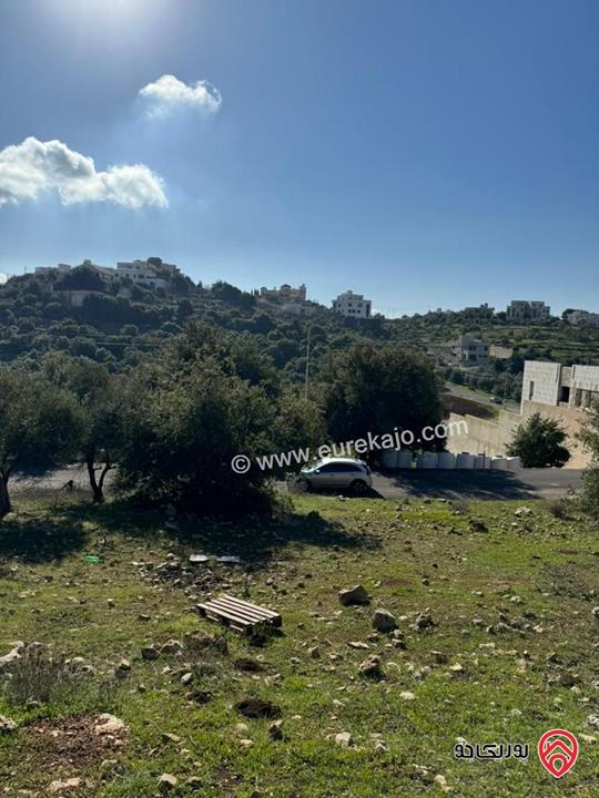 أرض سكنية مساحة 856م للبيع في عمان - بدر الجديدة  حوض الميسر