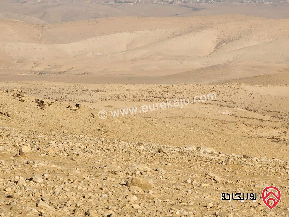 أرض مساحة 101 دونم للبيع من اراضي جنوب عمان - موقع شابك الغربي