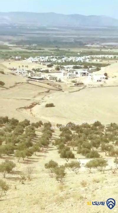 قطعة أرض مساحة 50 دنم في الغور الشمالي -اربد