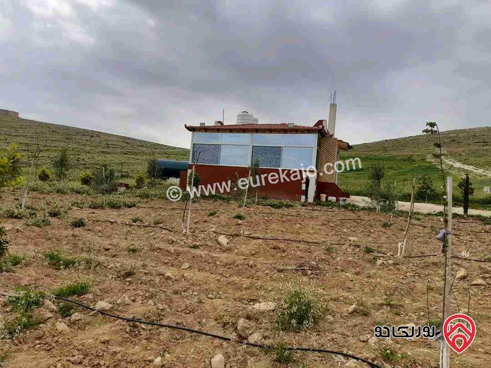 مزرعة مساحة 4 دونم للبيع في المفرق - بلعما 