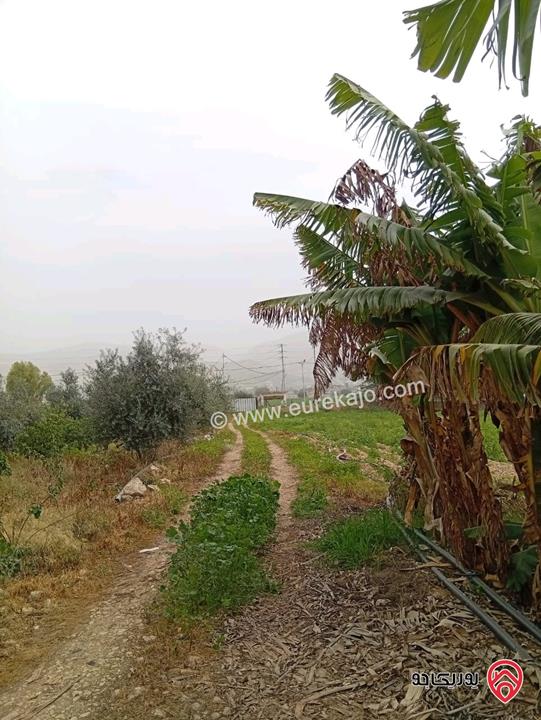 قطعة ارض مساحة 3 دونم و 400م للبيع في اربد - الأغوار الشمالية 