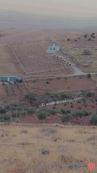 بيت ريفي 40م على أرض مساحة 3400م للبيع في المفرق - منطقة بلعما