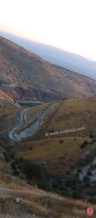 قطعة أرض مساحة 8650م للبيع في اربد - الكورة دير ابي سعيد 