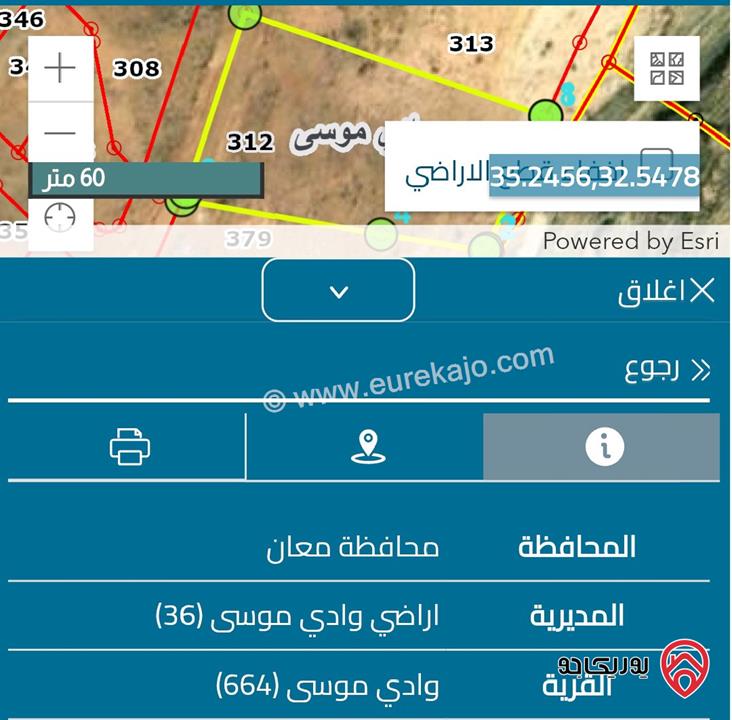 أرض للبيع في معان - وادي موسى مساحة 10 دنم