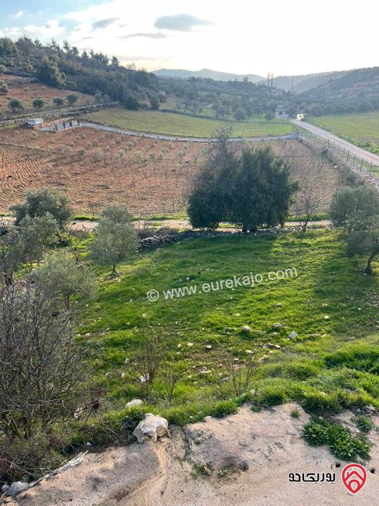 ارض مساحة 1 دونم و 982م للبيع في عجلون عنجرة سرابيس