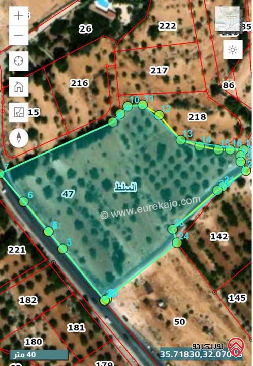 أرض زراعية مزروعة ( أشجار زيتون مثمرة ) مساحة 10 دونم و 784م للبيع في السلط، على شارعين، في أول مدخل زي
