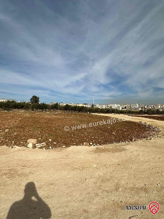 أرض مميزة مساحة 580م للبيع في عمان - جاوا 