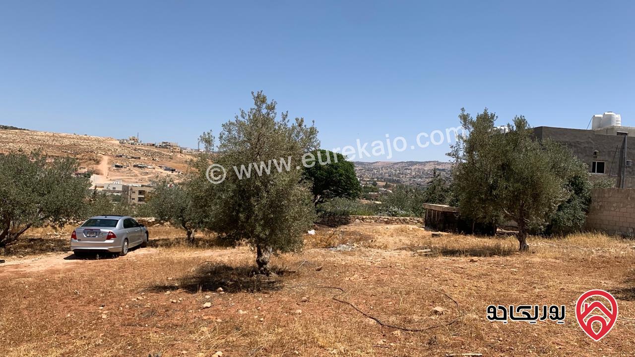 مزرعة مساحة الأرض 2 دونم للبيع بدون منزل في جرش حي الجبارات