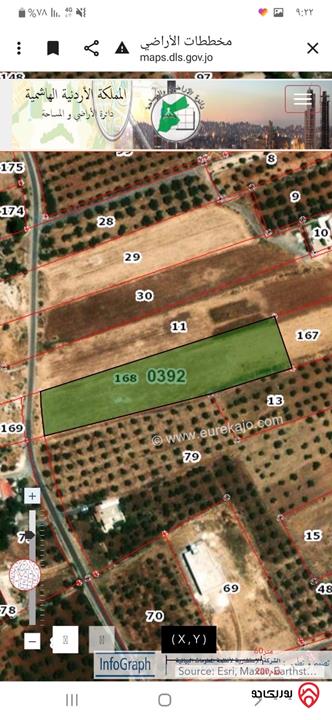 قطعة أرض مساحة 5 دونم للبيع في السلط - أم زيتونة