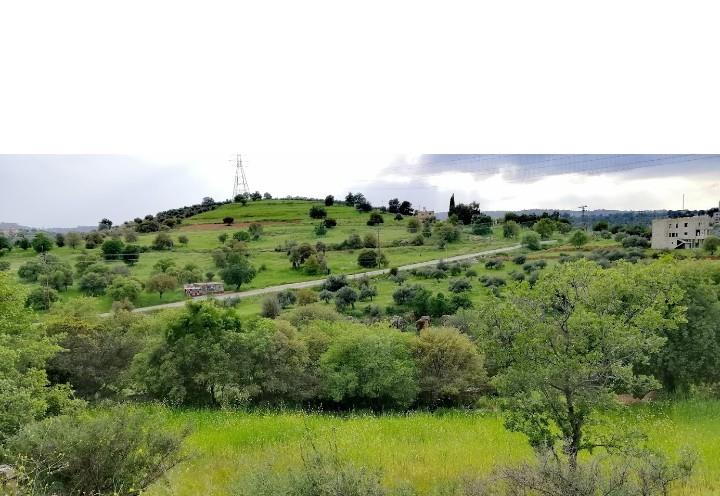 ابراهيم النعيمات 