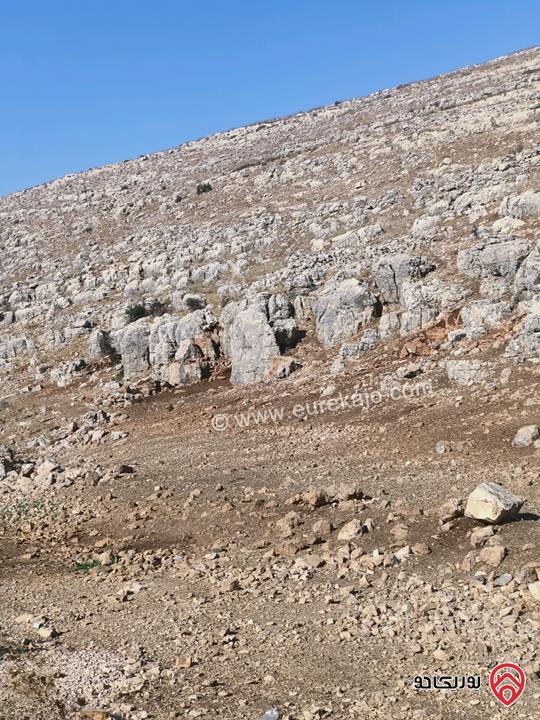 قطعة أرض مساحة 6 دونم و 172م للبيع في إربد لواء المزار الشمالي قرية صمد