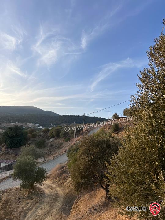 مزرعة مساحة الأرض 6 دونم و 500م للبيع في جرش منطقة جمله قريبة من محمية دبين اطلاله جميلة جداً وسعر حرق وربنا يبارك لصاحب النصيب