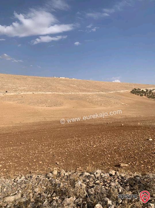 ارض مساحة 12 دونم للبيع في جرش - منطقة قفقفا 