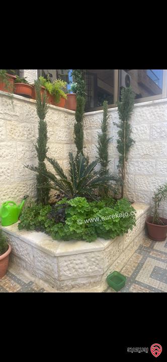 شقة دوبلكس طابق أرضي وشبه ارضي مساحة 310م داخلي و 300م خارجي للبيع في عمان - أم أذينة من المالك