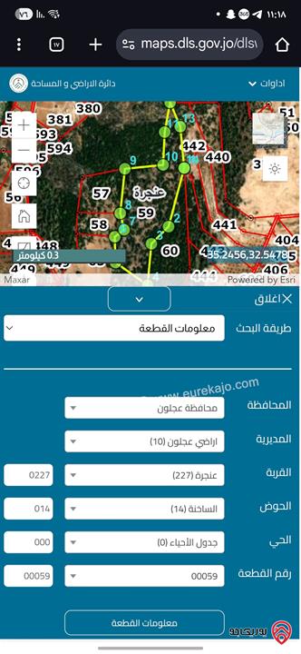 قطعة ارض حرجية مساحة 8 دونم للبيع في محافظة عجلون - منطقة عنجرة الساخنه سعر الدونم 4 الاف