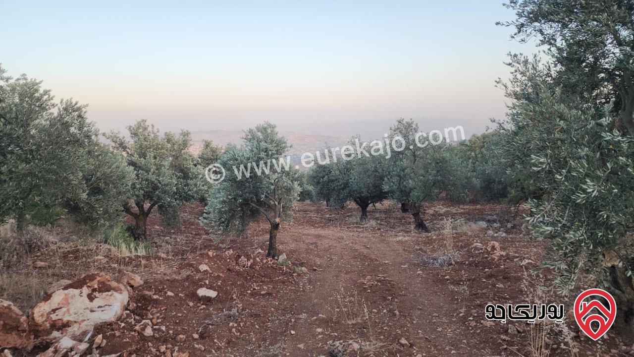 قطعة ارض مساحة 3483م للبيع في جرش - سوف بإطلالة خلابة وسط الطبيعة وهدوء الأحراش