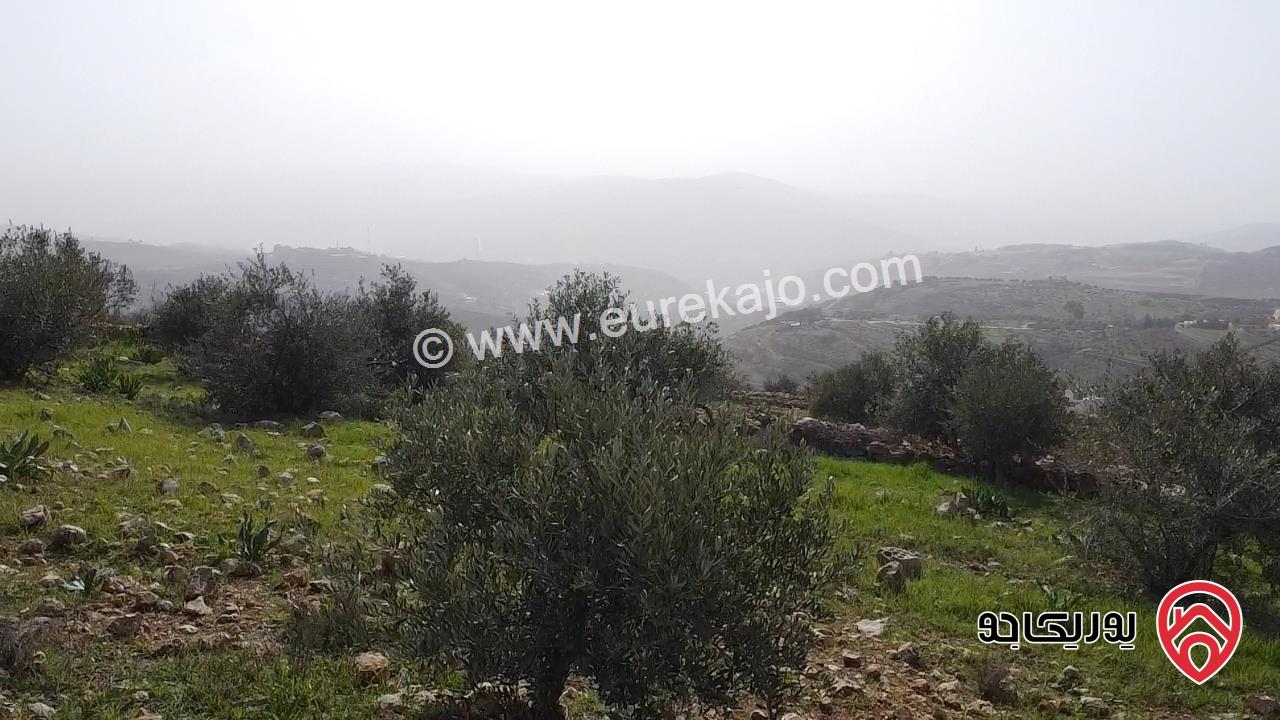 ارض مميزة مساحة 2 دونم للبيع في جرش بالقرب من جامعة جرش ومقابل جامعة البلقاء فرع جرش