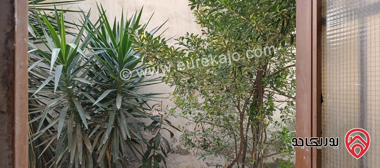 شقة شبه ارضية مساحة 90م للبيع في عمان - ضاحية الأمير حسن