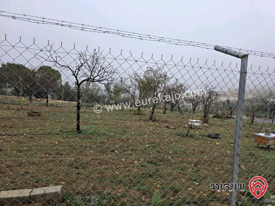 أرض مساحة 750م للبيع في عمان - ناعور