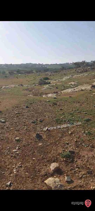 قطعة ارض مساحة 3 دونم و 983م للبيع في مادبا - ماعين 