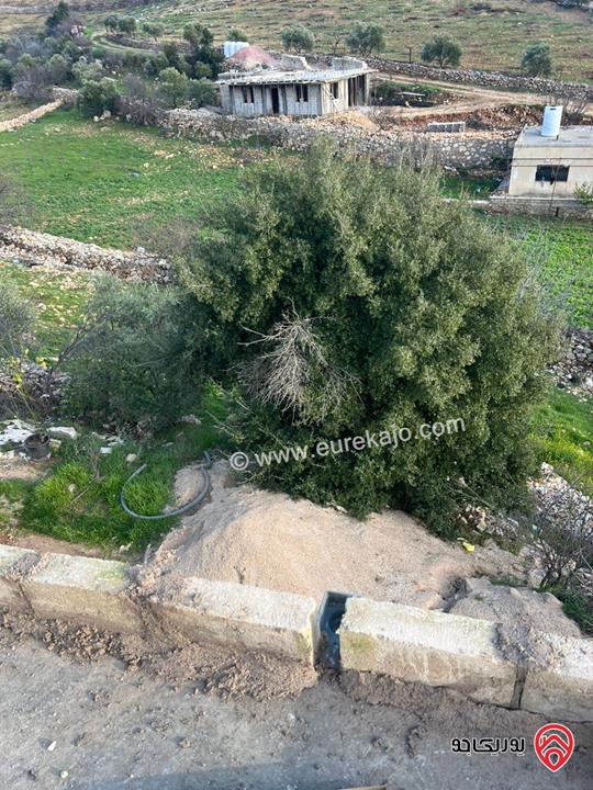 ارض مساحة 1 دونم و 982م للبيع في عجلون عنجرة سرابيس