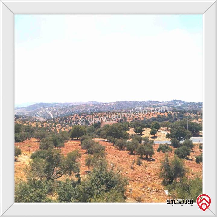 أرض مساحة 500م للبيع في عمان بدر الجديدة الكاشف 