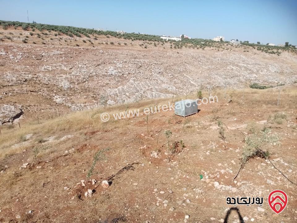 مزرعة مساحة 8700م للبيع في اربد بني كنانه منطقة يبلا 