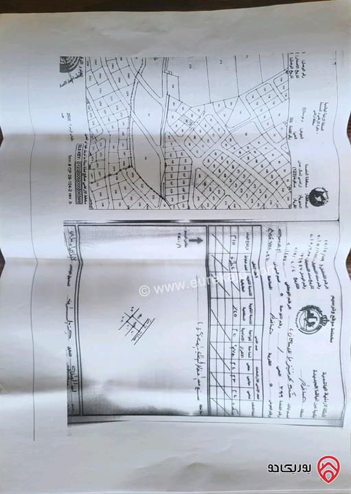 شقة مساحة 175م طابق أول للبيع في عمان - الجبيهة