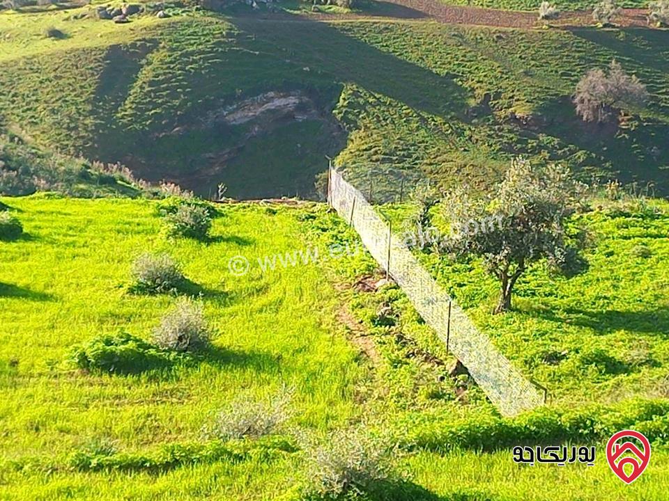 أرض مساحة 20 دونم و 322م للبيع في اربد - كفر رحتا