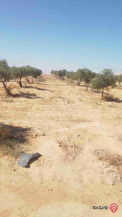 أرض مساحة 10 دونم للبيع من أراضي جنوب عمان منطقة ام رصاص