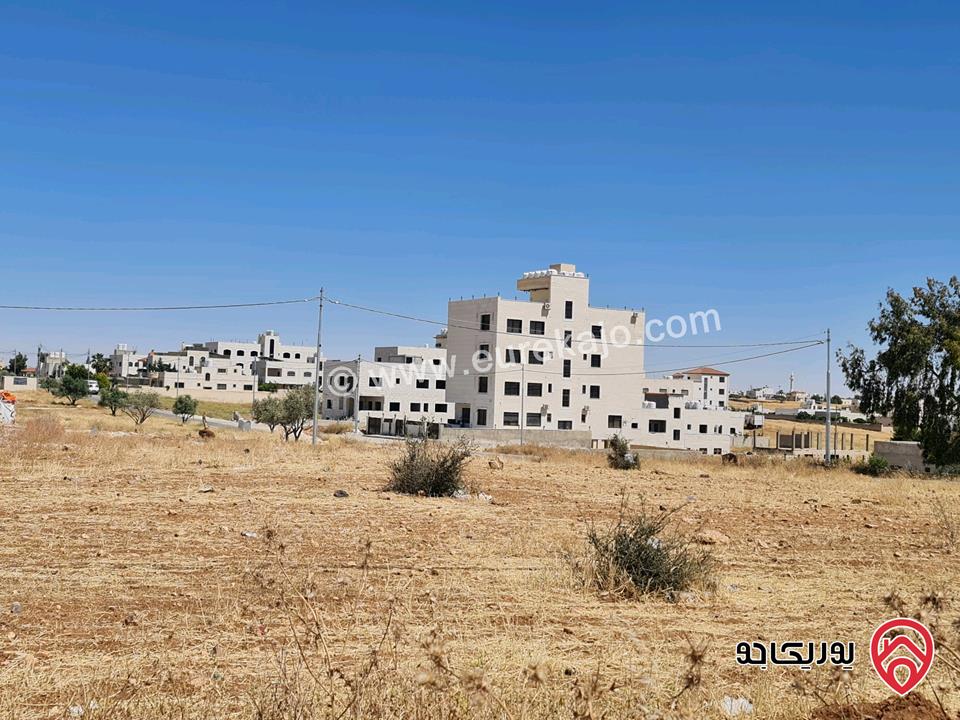 ارض مساحة 503م للبيع في عمان - منطقة جاوا/نافع من المالك مباشرة 