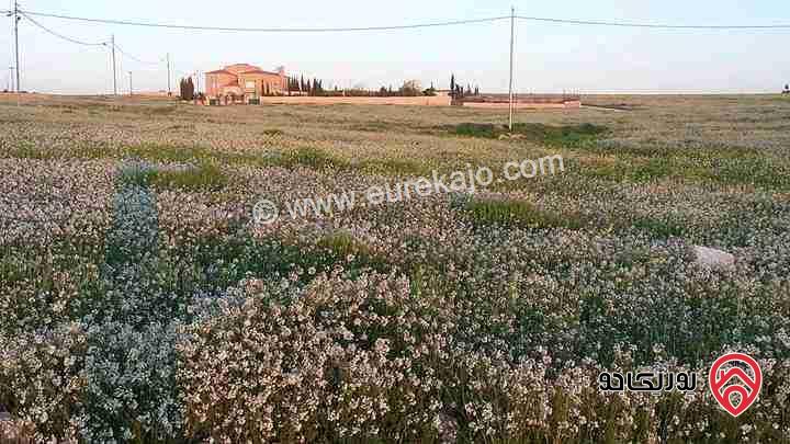 قطعة أرض مساحة 640م للبيع في عمان - اللبن ابو دبوس