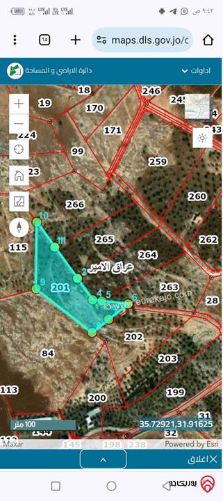 قطعة ارض مساحة 7 دونم للبيع في منطقة عراق الأمير حوض ابو السمسم 