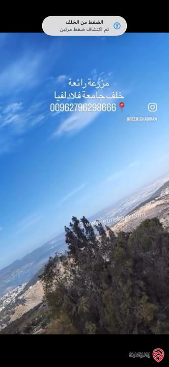 مزرعة فاخرة مساحة 5 دونم للبيع في جرش خلف جامعة فيلادلفيا منطقة تلعة الرز 