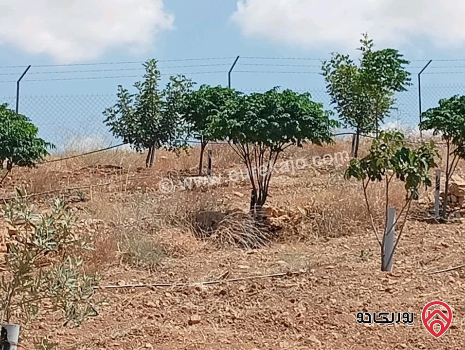 مزرعة مساحة الأرض 3 دونم و 400م بإطلالة للبيع في المفرق - بلعما