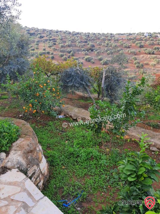 مزرعة زيتون مساحة الأرض 8 دونم و 300م و البناء مساحة 100م للبيع في السلط