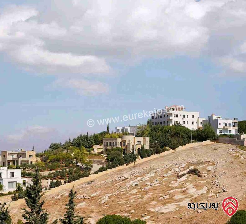 قطعة أرض مساحة 1 دونم و 500م للبيع في عمان - الظهير