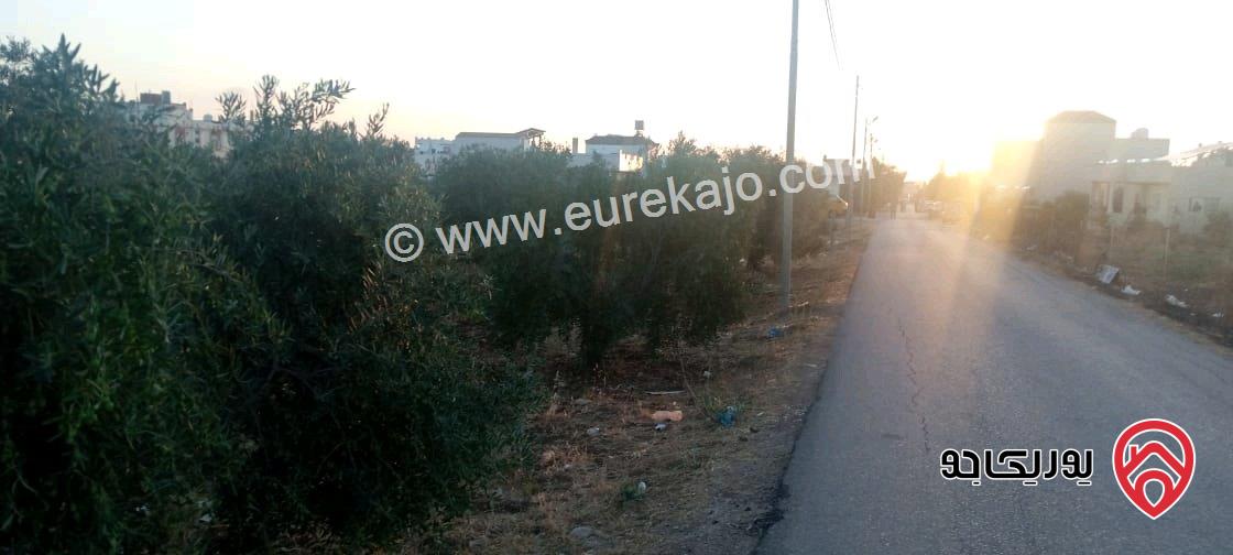 قطعة أرض مساحة 2 دونم للبيع في اربد - الرمثا - الطرة