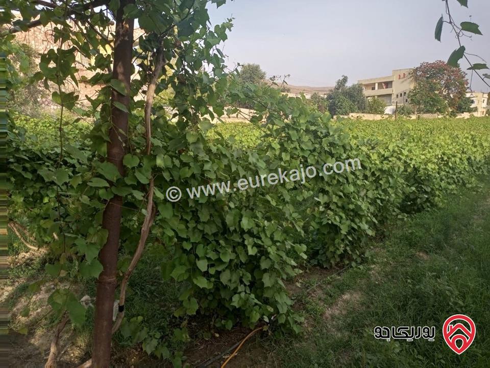 أرض زراعية مساحة 9 دونم و 526م للبيع في اربد - الأغوار الشمالية/منطقة ابوسيدو 