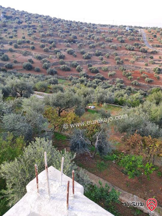 مزرعة زيتون مساحة الأرض 8 دونم و 300م و البناء مساحة 100م للبيع في السلط